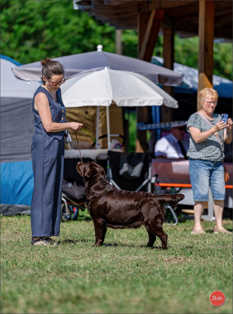 Dog Show - Hallbergmoos 🇩🇪 11-12/07/2026