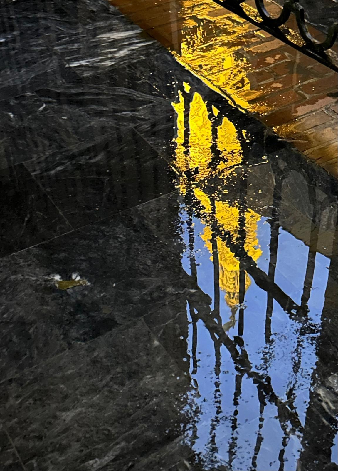 Arquitectura. Elisveiga