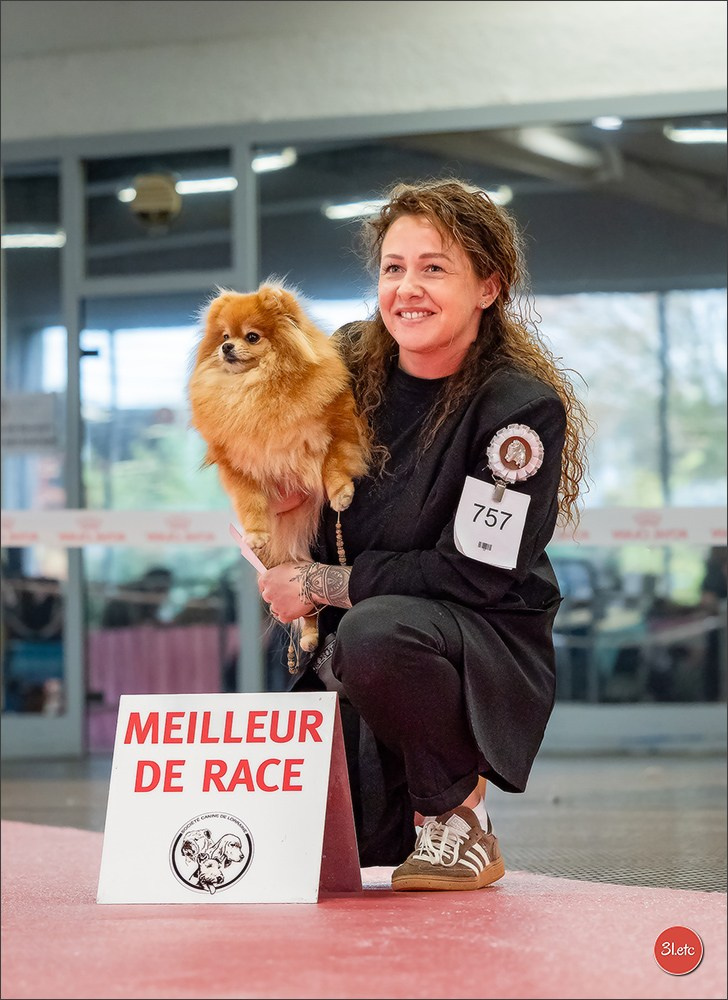 Photographie animalière. Photographe à Strasbourg | Portraits, Studio, Enfants, Événements