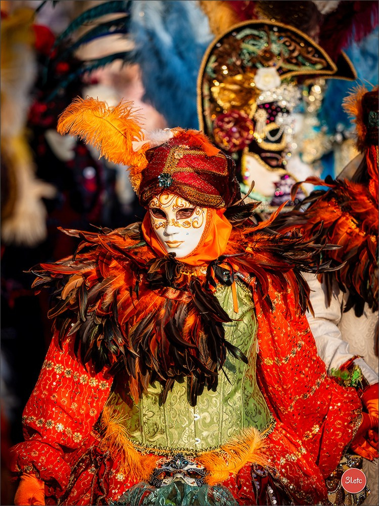Carnaval vénitien de Rosheim 2026. Photographe à Strasbourg | Portraits, Studio, Enfants, Événements