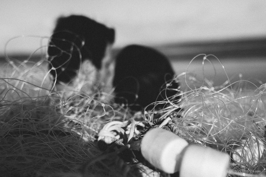 JÉSSICA + DOUGLAS. EntreOlhares Fotografia e Filmagem de Casamentos em Recife/PE e João Pessoa/PB — Momentos únicos eternizados com sensibilidade