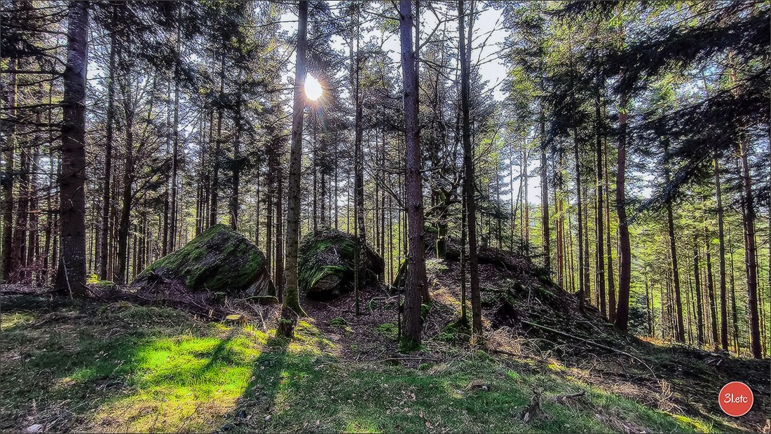 Une forêt, un rocher et un cimetière gallo-romain. Photographe à Strasbourg | Portraits, Studio, Enfants, Événements