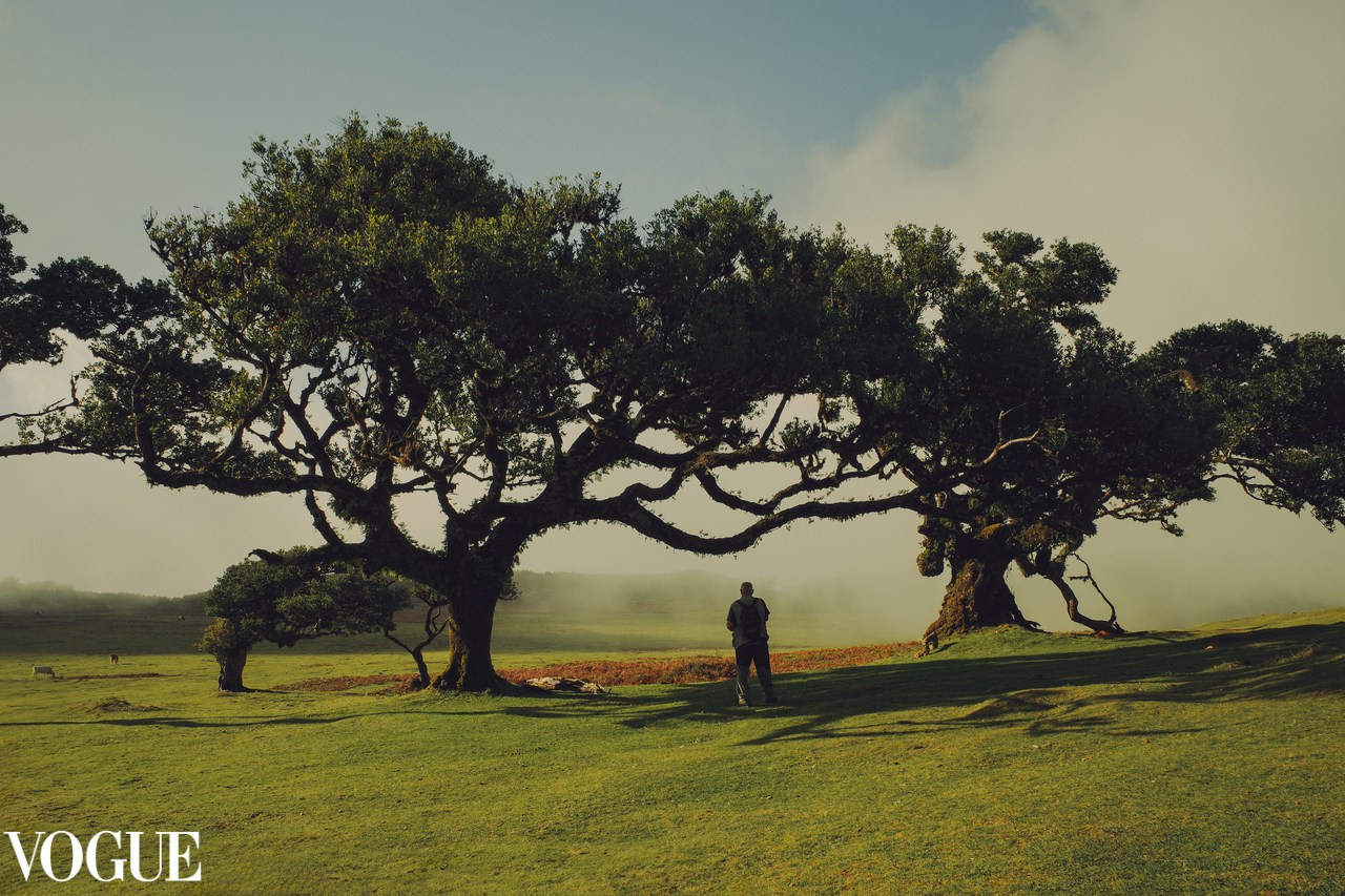 AWARDS. Yana Bobrova | Artistic Photography