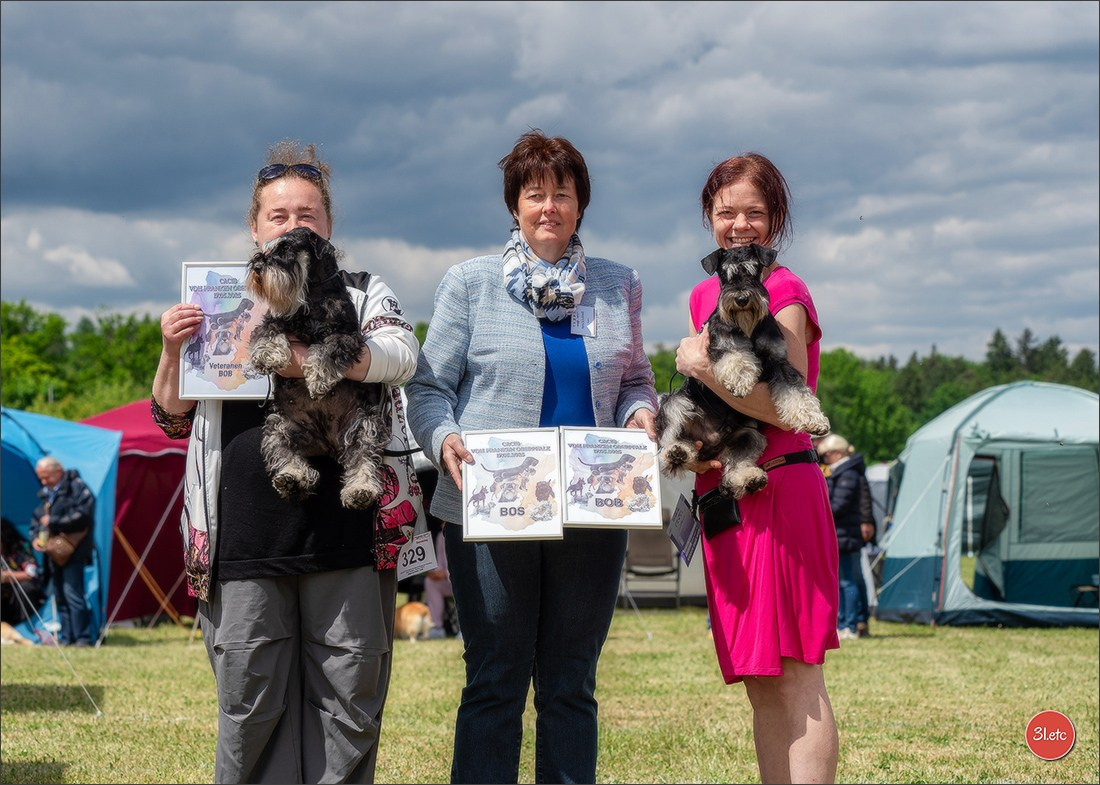Dog Show Rieden 🇩🇪 16-18/05/2025. Photographe à Strasbourg | Portraits, Studio, Enfants, Événements