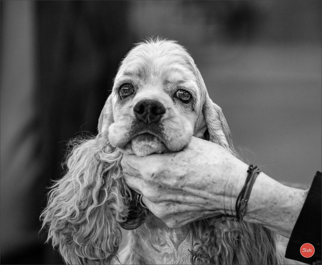 🇨🇭 Geneva 03-05.10.2025 🇨🇭. Photographe à Strasbourg | Portraits, Studio, Enfants, Événements