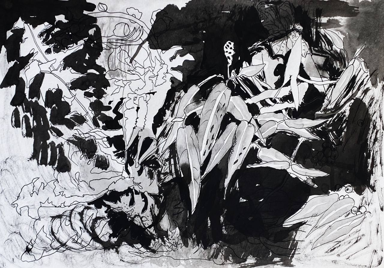 'Memory-Map', Mozyr, August 2023. 7 ink drawings 30 x 40 cm made during my trip to a place where I spent my summer holidays as a child. All the drawings were made from life in places important to my memories: on the river bank, in the garden, in ravines, in the forest. Each drawing is my portal to that place. 