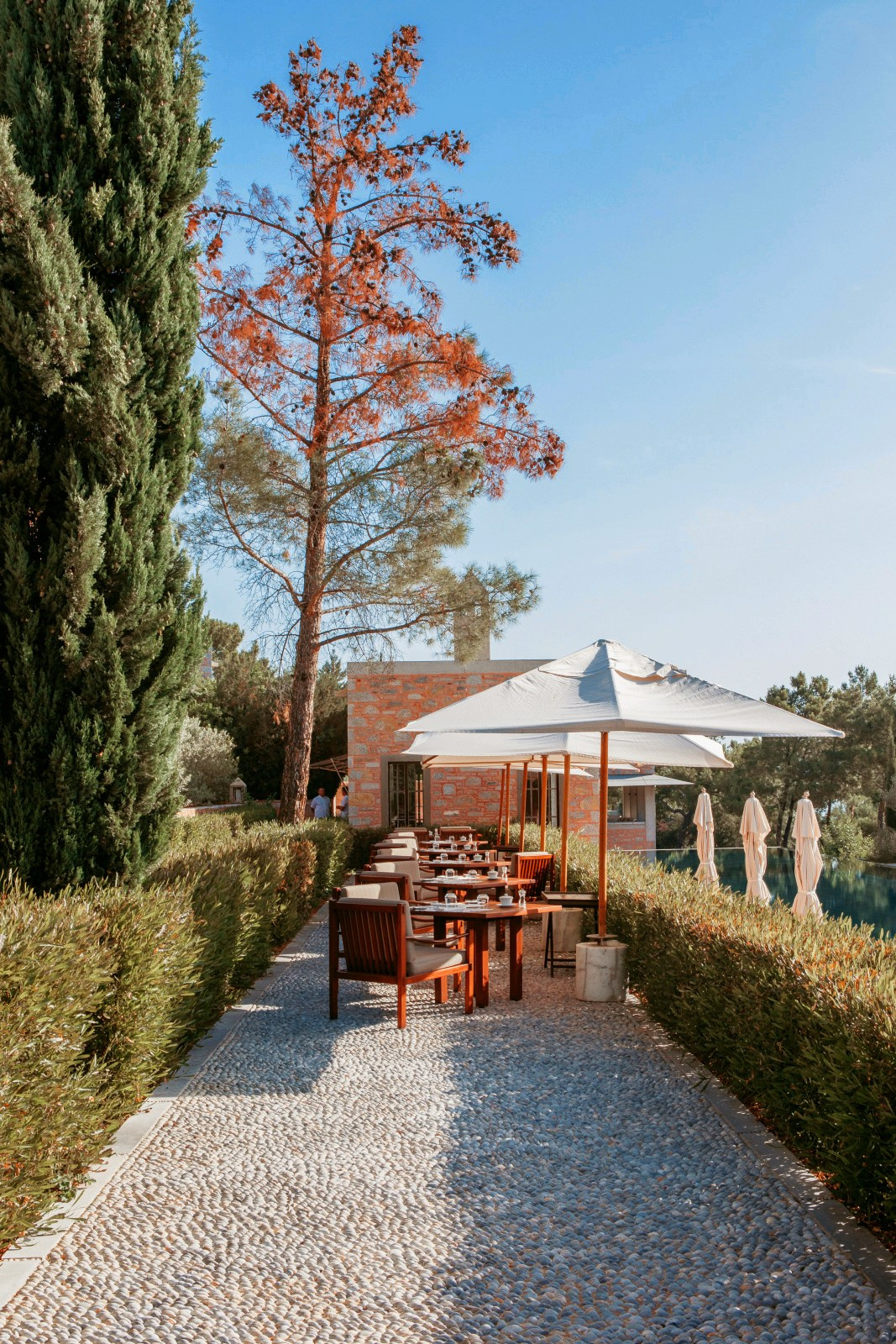 weddingcake, amanruyabodrum , bodrumbridalmakeup, bodrumbride,  свадьбавбодруме, фотографвбодруме,  свадебныйфотографбодрум, свадебнаяорганизациябодрум, Fethiye, свадебныйбукетбодрум, флористбодрум,  девичниквбодруме, вечеринкивбодруме, distanationwedding, bodrumwedding, elianaplotskayawedding, свадьбавфетхие  marrymeinbodrum, предложениерукиисердцабодрум,  организациясвадьбы, яхтабодрум, вечеринкинаяхтебодрум, bodrumevent, bodrumeventorganization, weddinginbodrum, weddingplannerinbodrum, bodrumplanner , besteventvenueinbodrum 