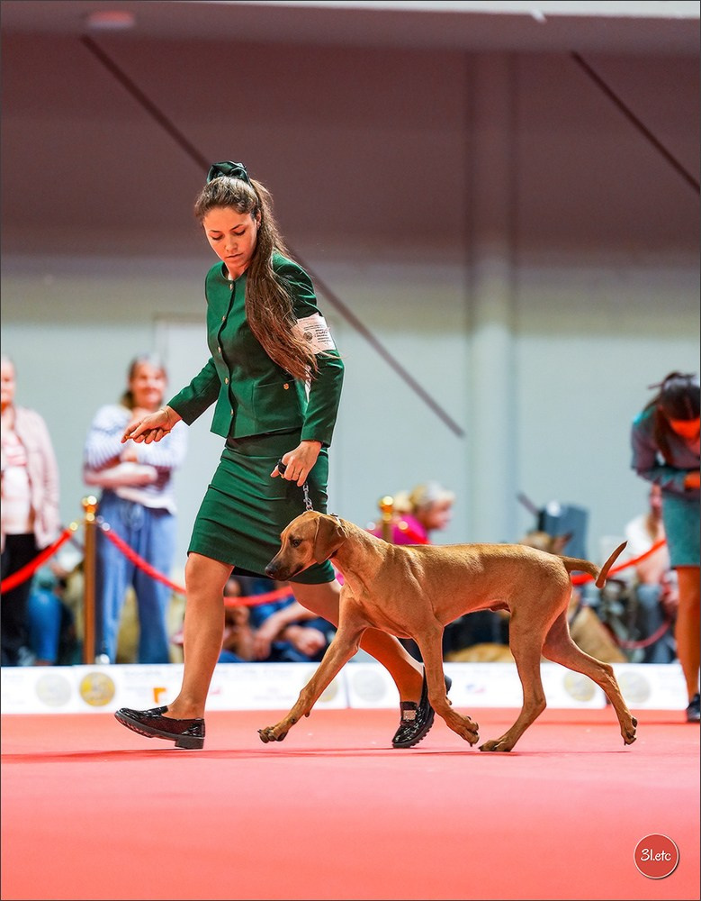 Expo canine 🇫🇷 Martigues 18-19/04/2026
