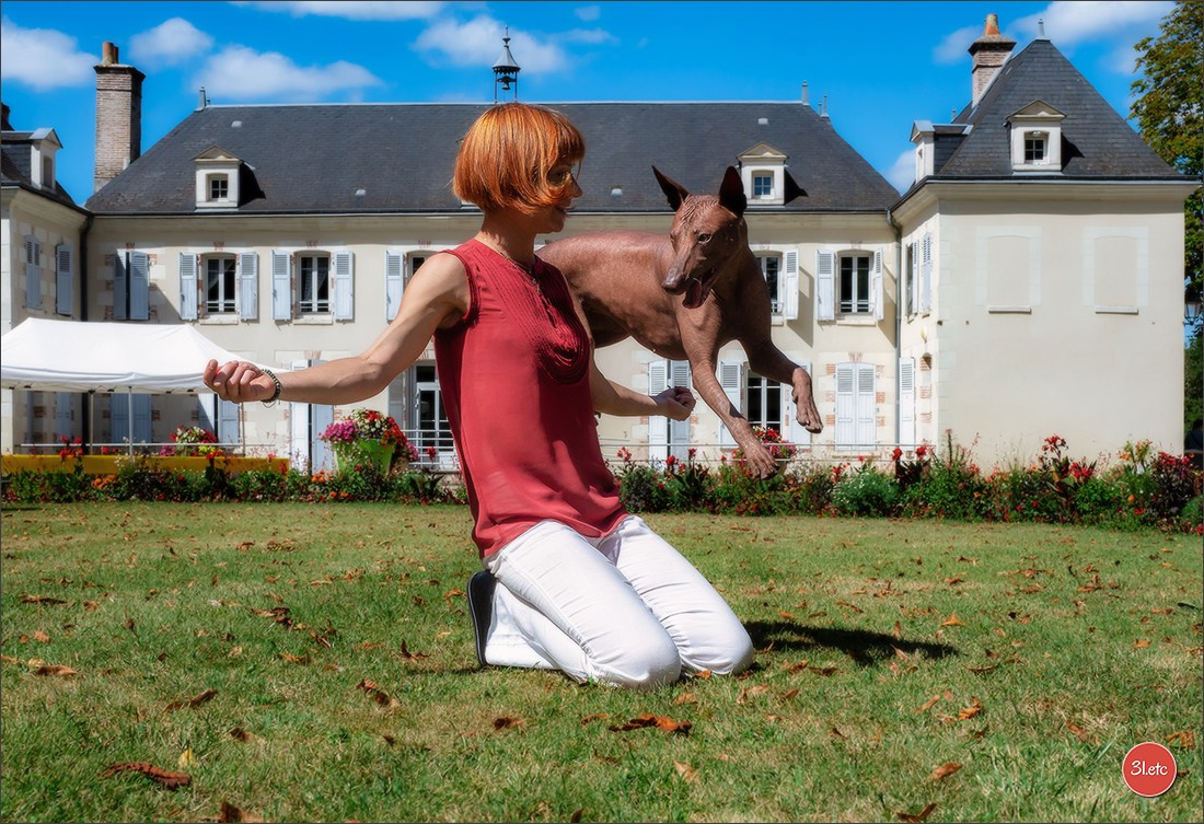 🇫🇷 Romorantin - Exposition Canine Nationale. Photographe à Strasbourg | Portraits, Studio, Enfants, Événements