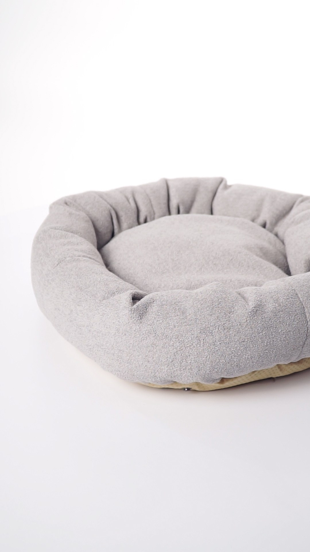 Mr.Cat Home. Ellstudio film production