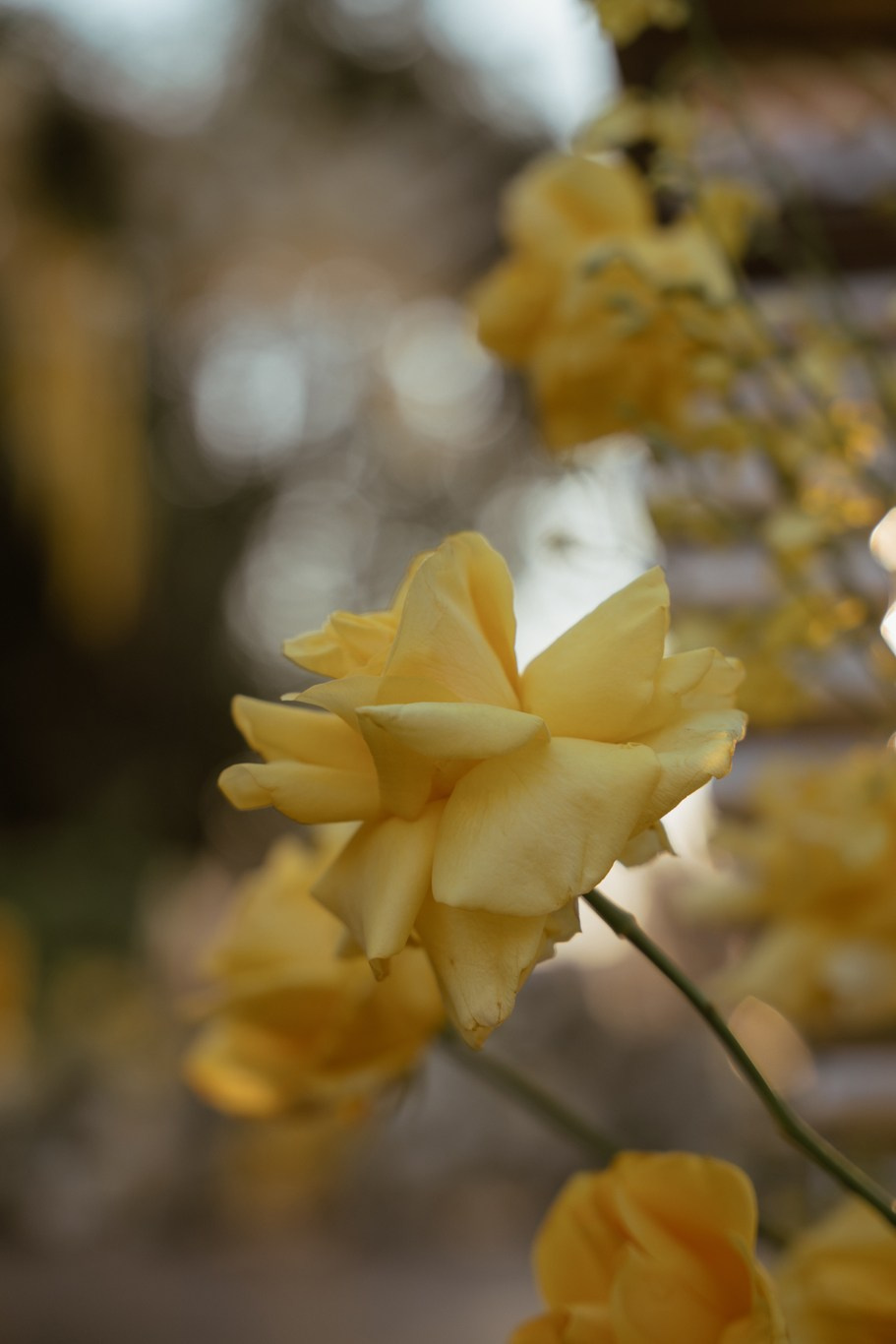 DUNG & ANH. WEDDING PHOTOGRAPHER IN VIETNAM