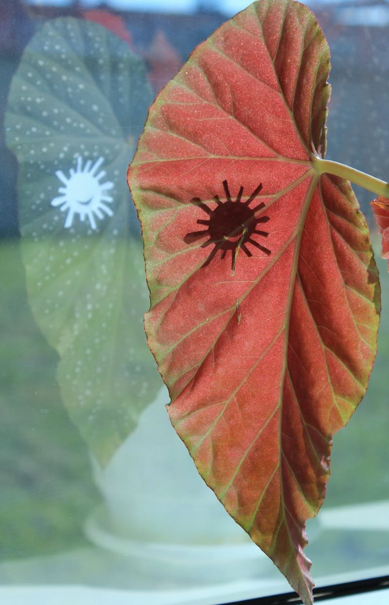 Работы учеников. Фотограф и преподаватель фотографии в Белграде