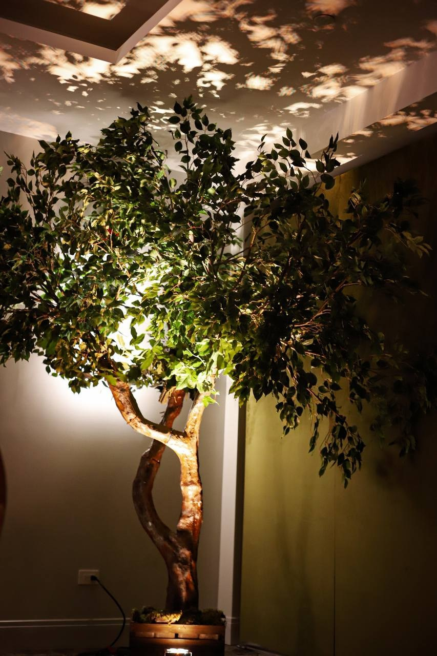 LD. VALERIIA VIUNOVA individual shooting\love story\event\brand