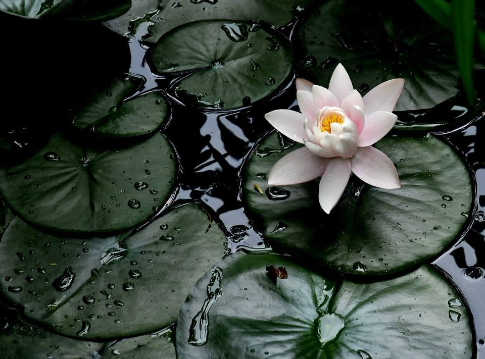 Работы учеников. Фотограф и преподаватель фотографии в Белграде