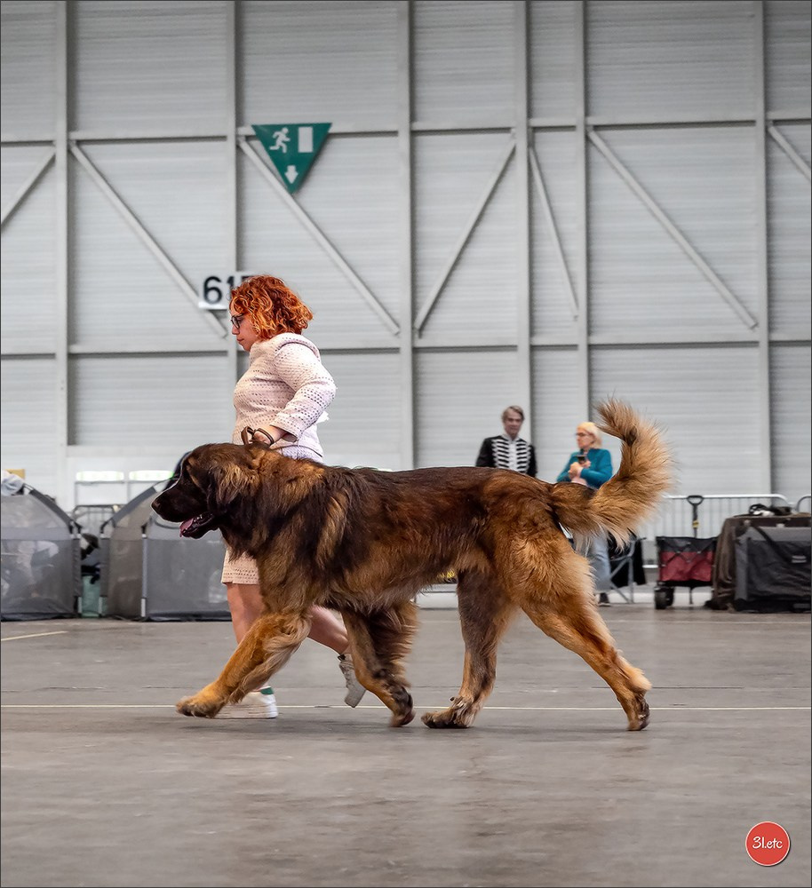 🇨🇭 Geneva 03-05.10.2025 🇨🇭. Photographe à Strasbourg | Portraits, Studio, Enfants, Événements