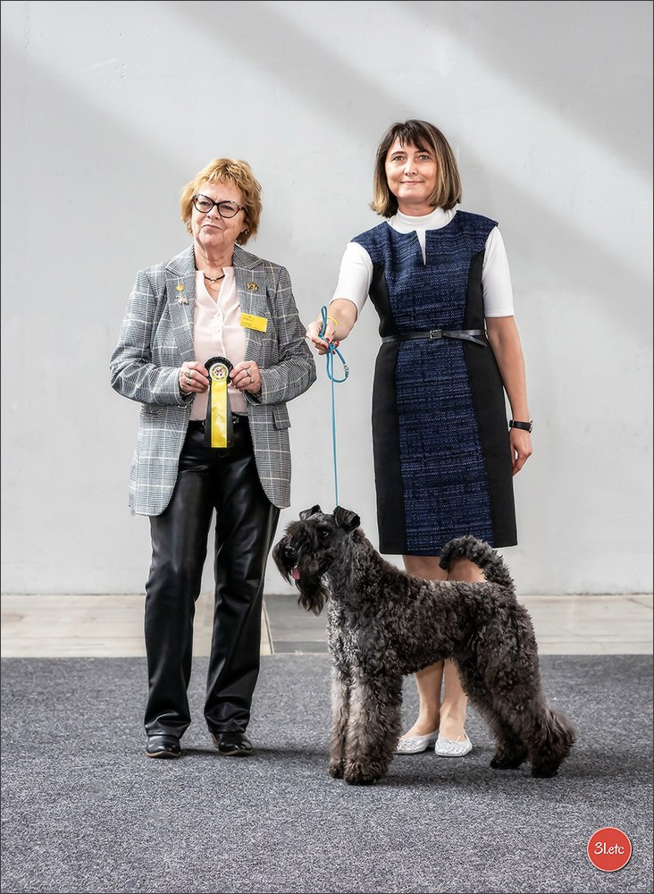 Exposition Canine à Karlsruhe 28-29/09/2024. Photographe à Strasbourg | Portraits, Studio, Enfants, Événements