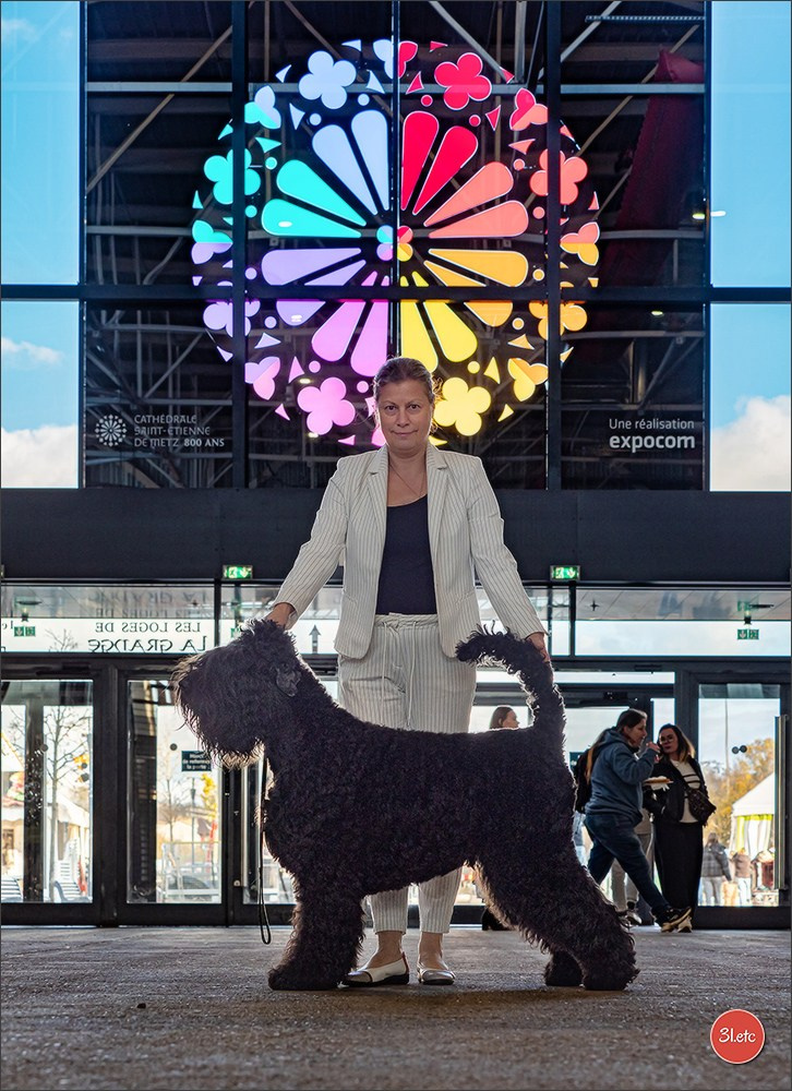 Expo canine  🇫🇷  Metz 08-09/11/2025. Photographe à Strasbourg | Portraits, Studio, Enfants, Événements