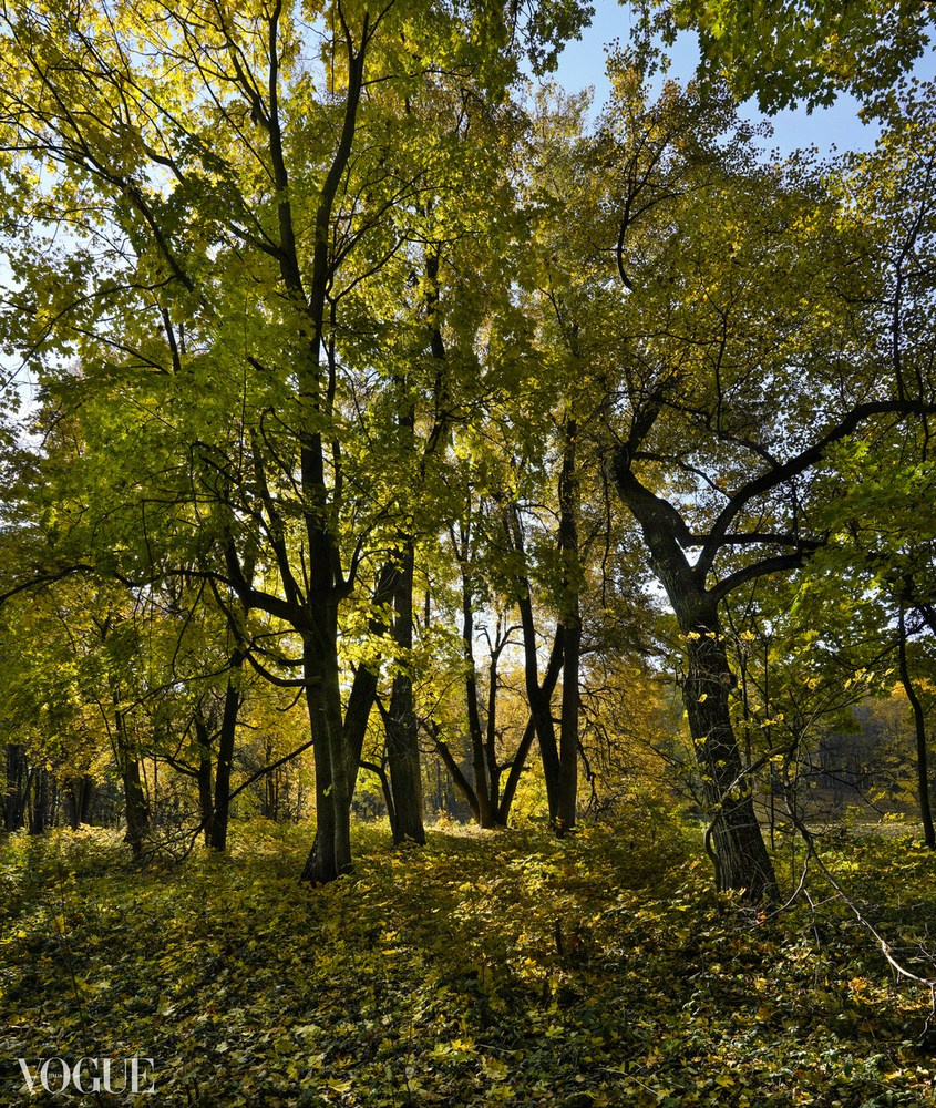 Суть фотографии в стиле изобразительного искусства