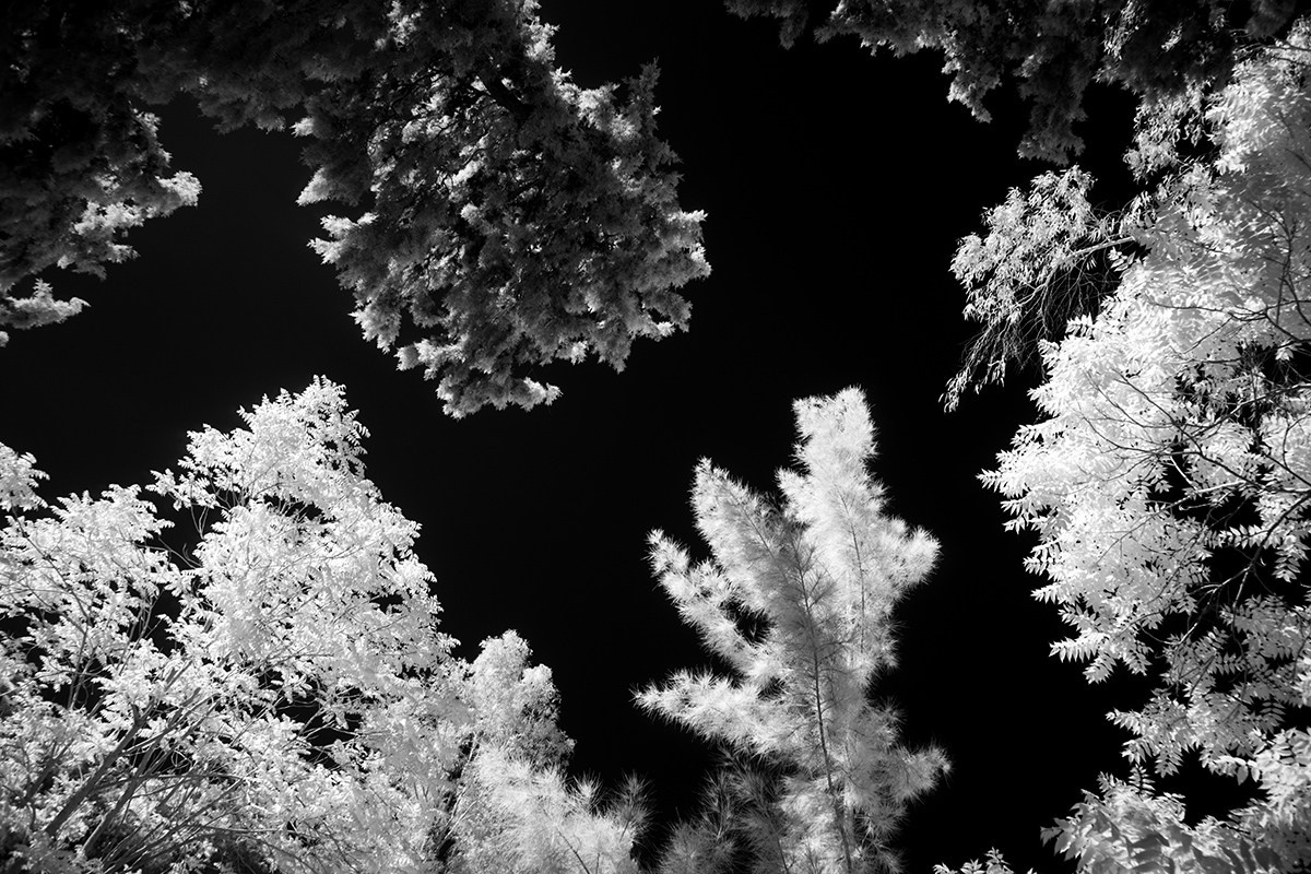 Отпечатки света. Фотограф в Израиле Максим Саяпин