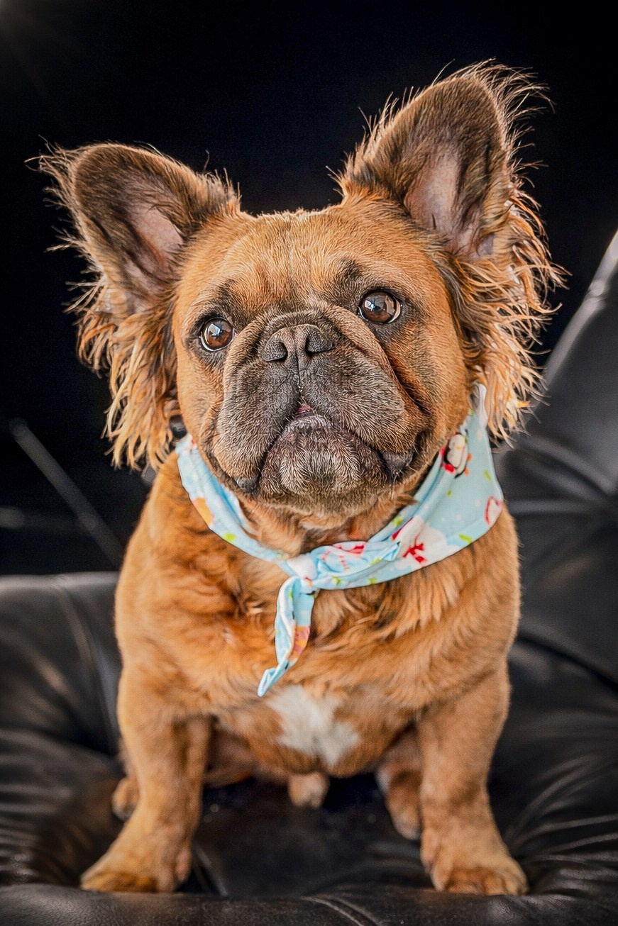 Retratos. Lucyfera Studio