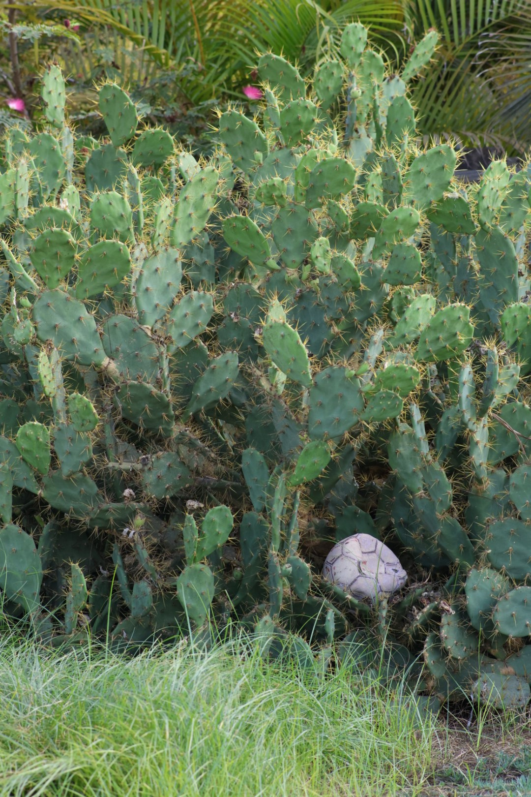 Gran Canaria 2024. Марина фотограф из Нюрнберга