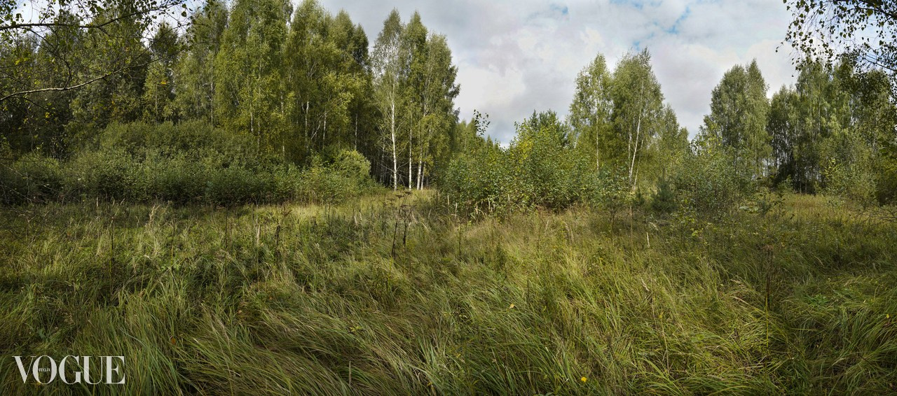 Сказка подмосковного леса. Суть фотографии в стиле изобразительного искусства