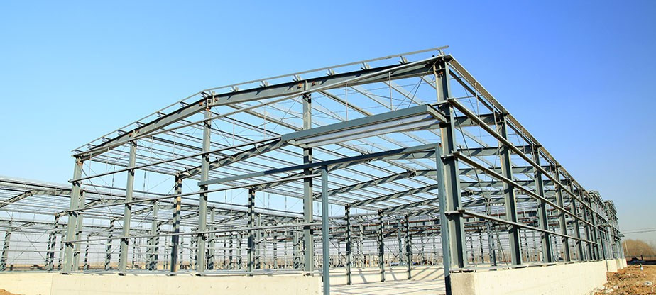 Projekty. Vector design studio Czesław Zubelewicz