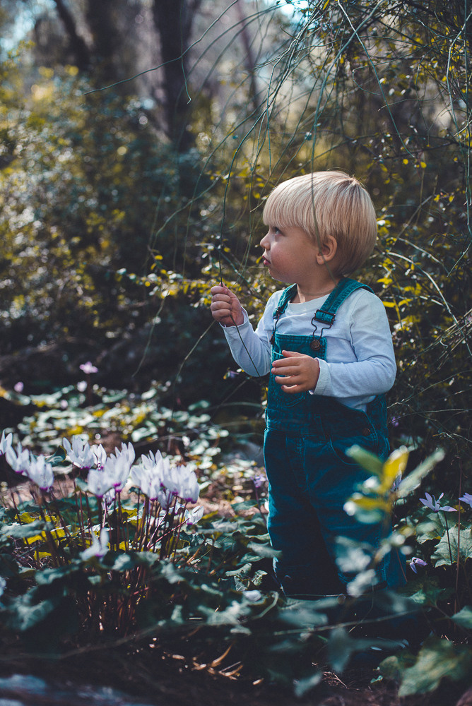 Аня Денис и Тео. Визуальный брендинг
