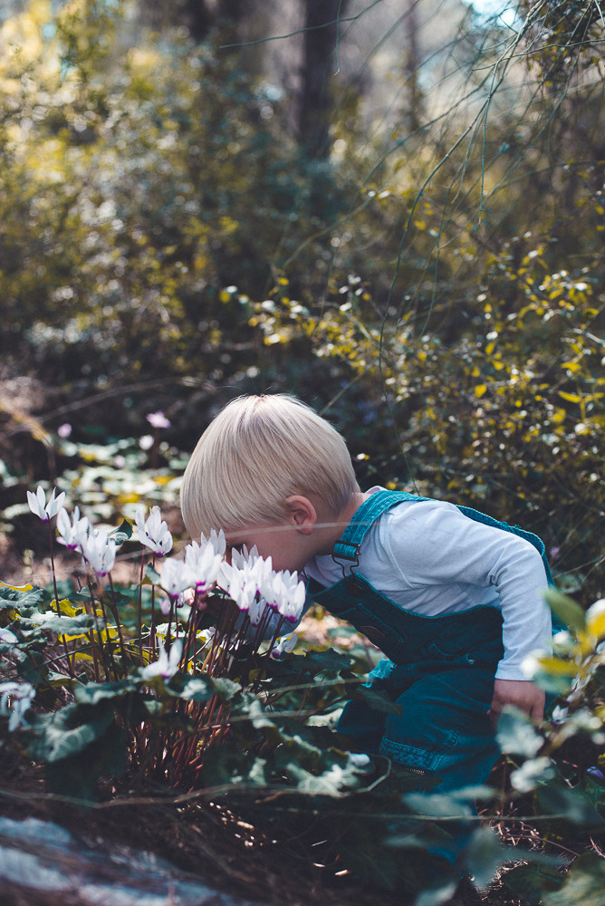 Аня Денис и Тео. Визуальный брендинг