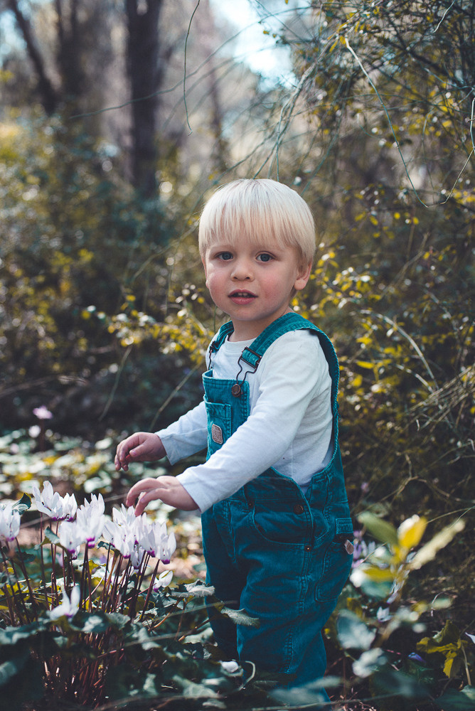 Аня Денис и Тео. Визуальный брендинг