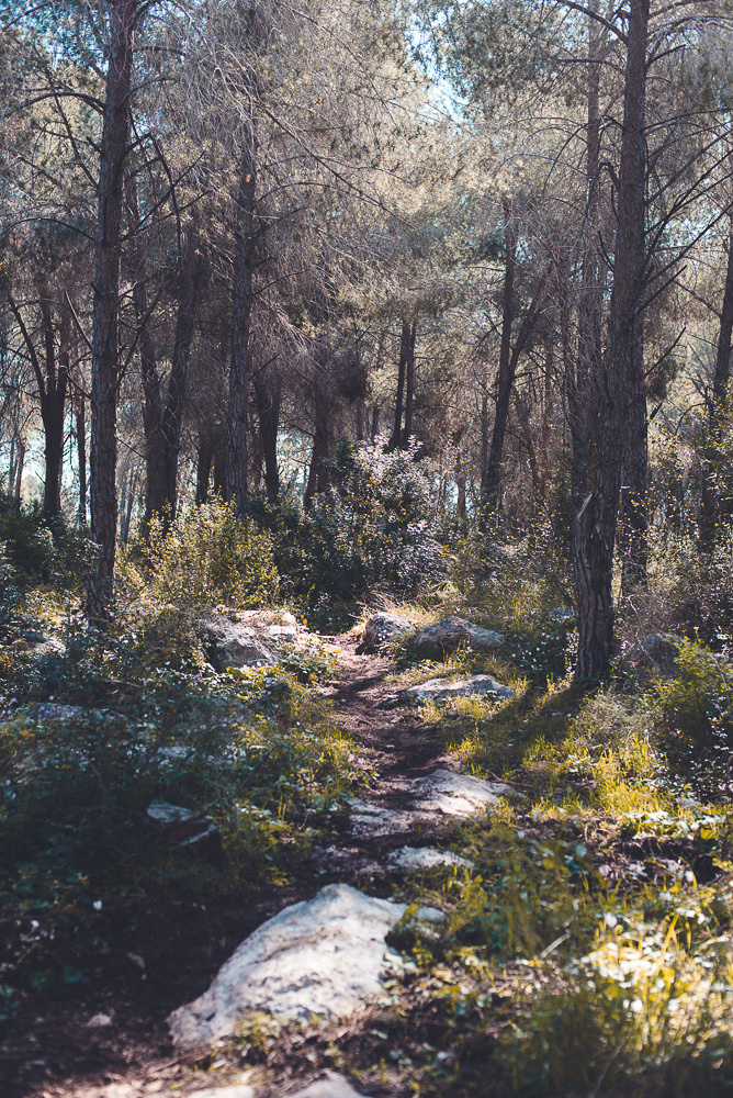 Аня Денис и Тео. Визуальный брендинг