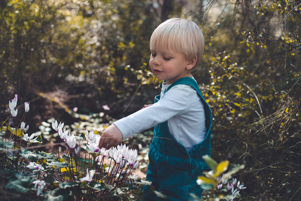 Аня Денис и Тео. Визуальный брендинг