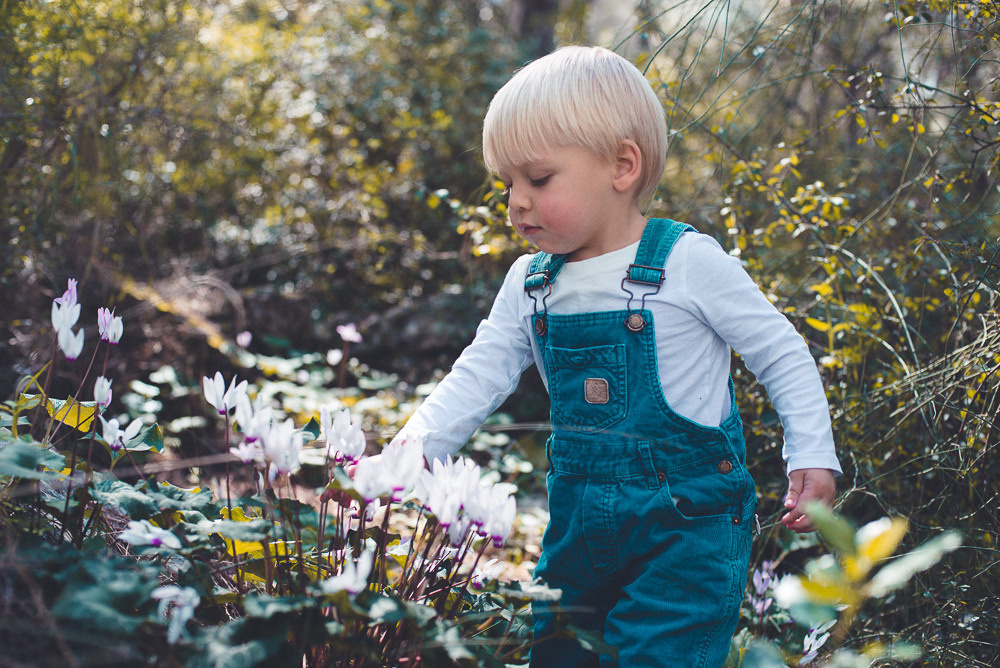 Аня Денис и Тео. Визуальный брендинг
