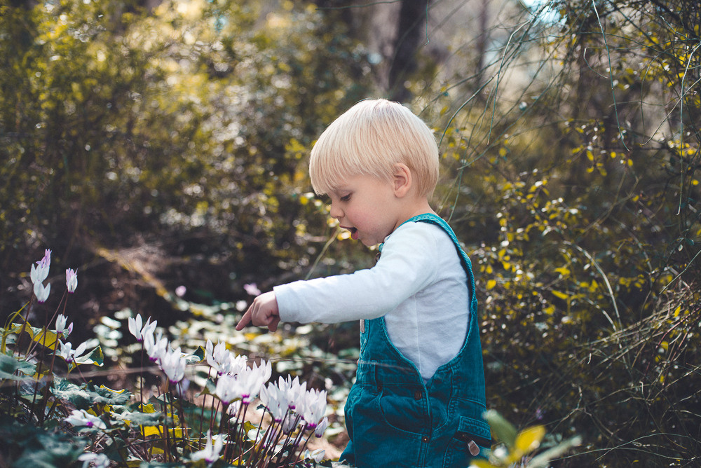 Аня Денис и Тео. Визуальный брендинг