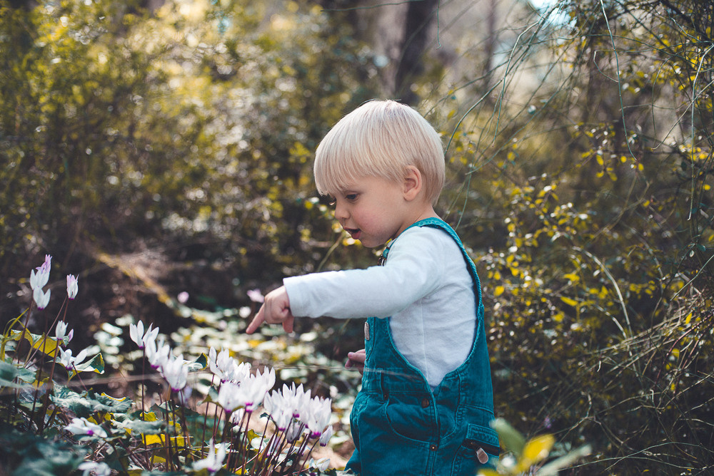 Аня Денис и Тео. Визуальный брендинг