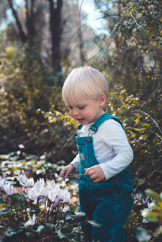 Аня Денис и Тео. Визуальный брендинг