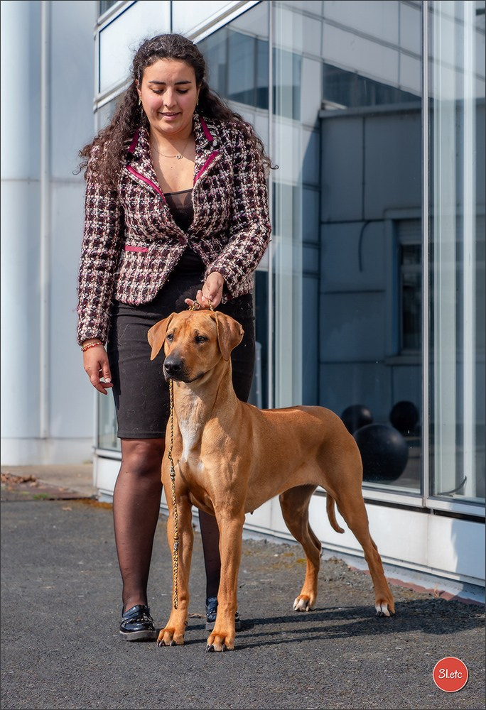 🇫🇷  Angers  🇫🇷  Expo canine  21-22/03/2026. Photographe à Strasbourg | Portraits, Studio, Enfants, Événements