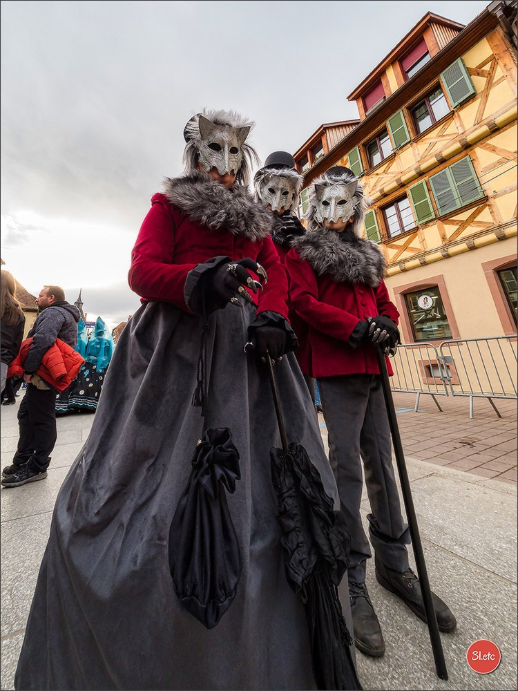 Carnaval venitien de Rosheim 2024. Photographe à Strasbourg | Portraits, Studio, Enfants, Événements