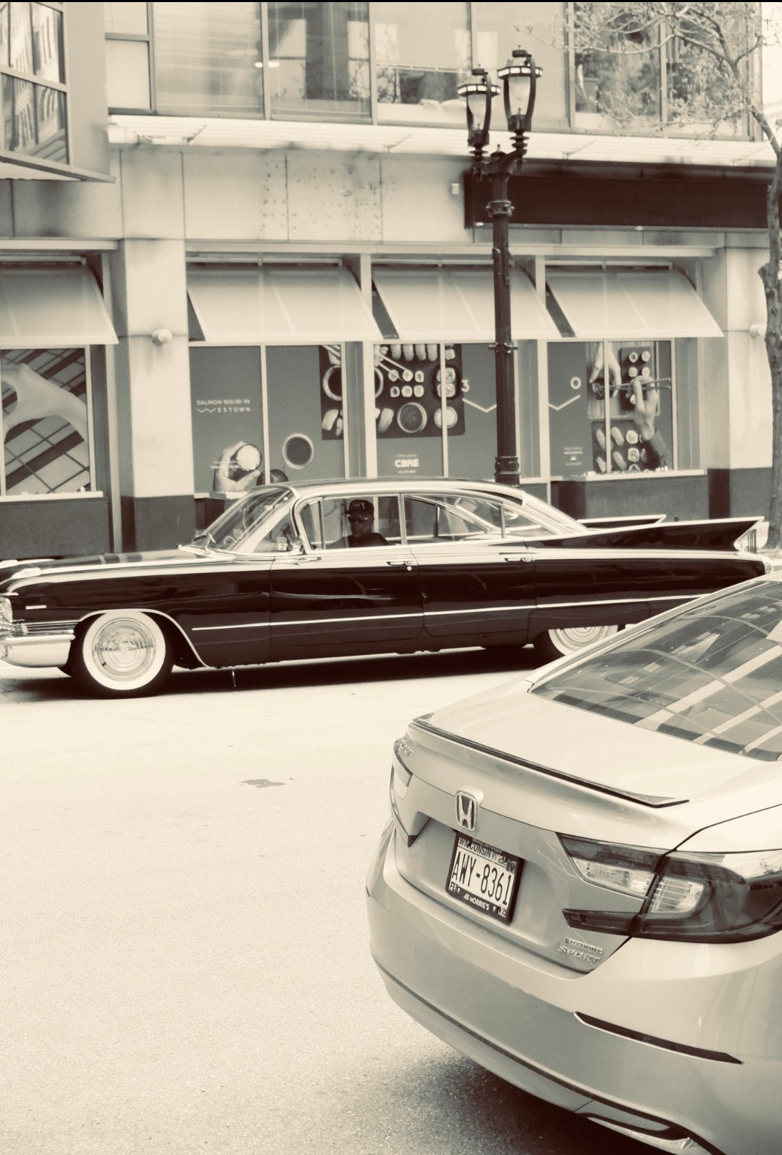 Lens Work From the Field 3