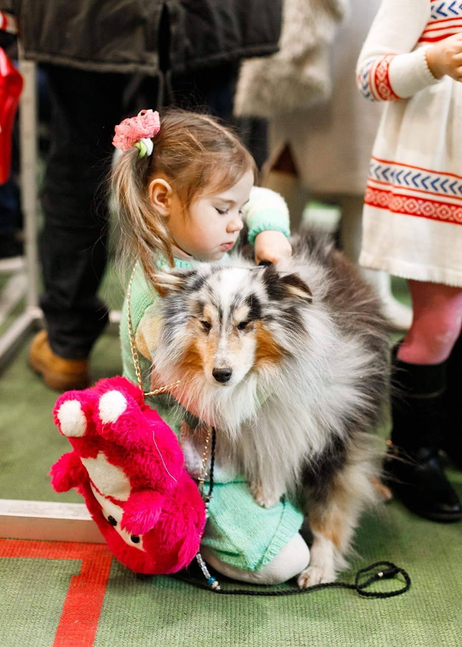 Grodno dog show. Kaja | fotograf we Wrocławiu | ludzie i psy