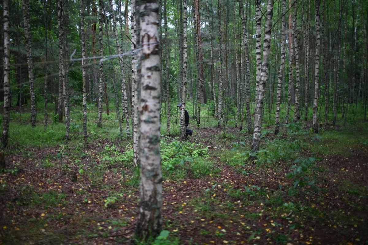 Виктория Дини. Арт-фотография