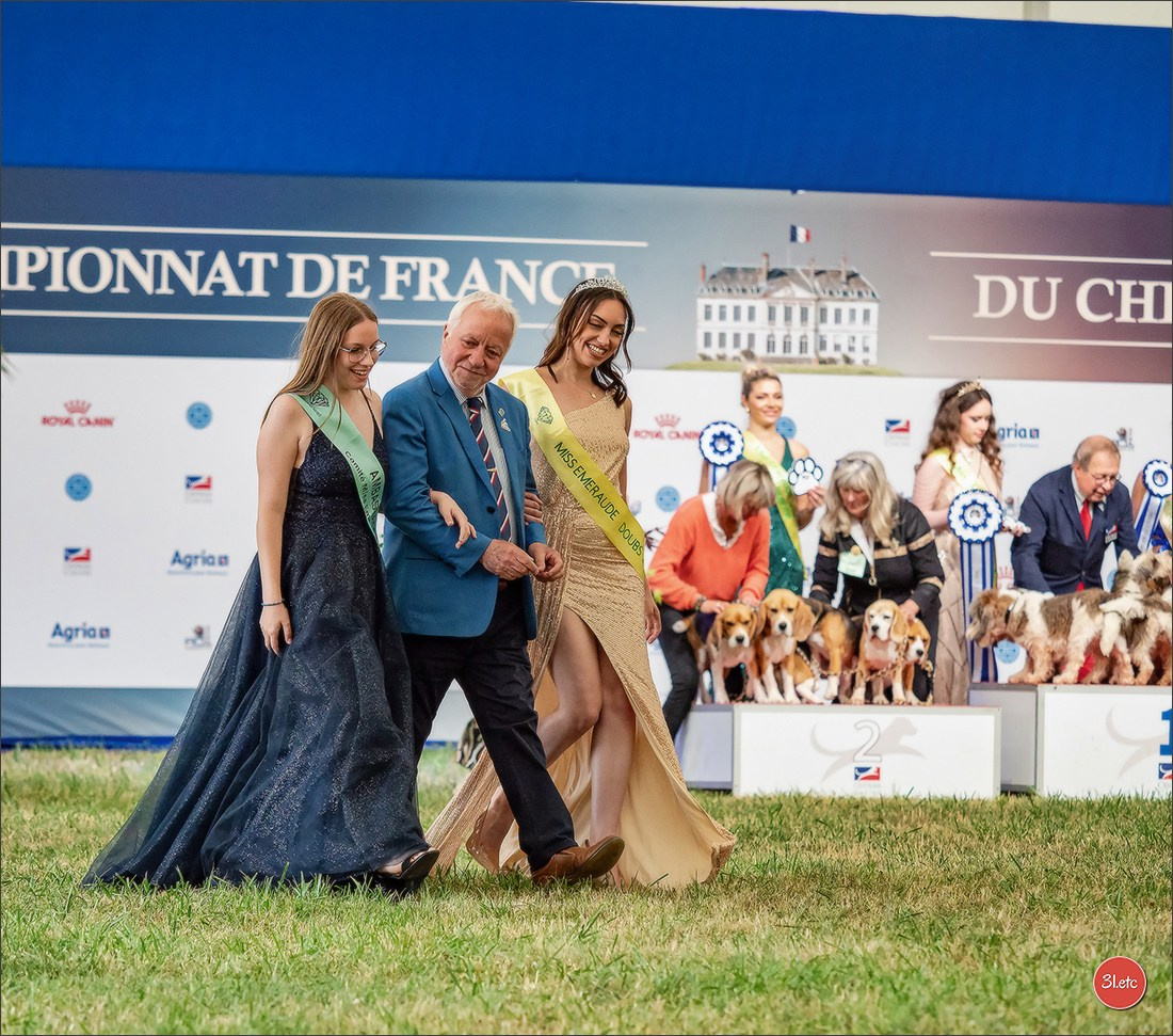 Championnat de France du chien de race  🇫🇷  DIJON (château de Brognon) 7-8/06/2025. Photographe à Strasbourg | Portraits, Studio, Enfants, Événements