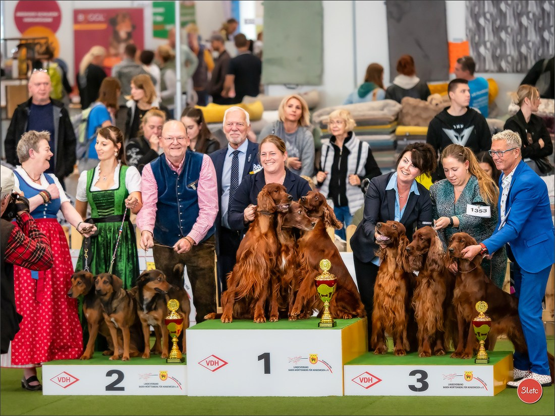 Exposition Canine à Karlsruhe 28-29/09/2024. Photographe à Strasbourg | Portraits, Studio, Enfants, Événements
