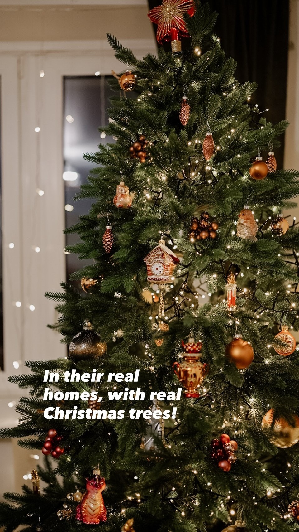 Family Christmas Photoshoot. Professional Photographer Abu Dhabi, Dubai — Yulia Ismoilova | 2025