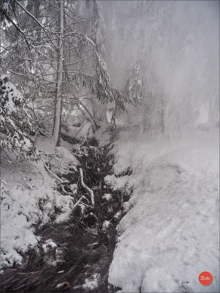 Swiss. Photographe à Strasbourg | Portraits, Studio, Enfants, Événements