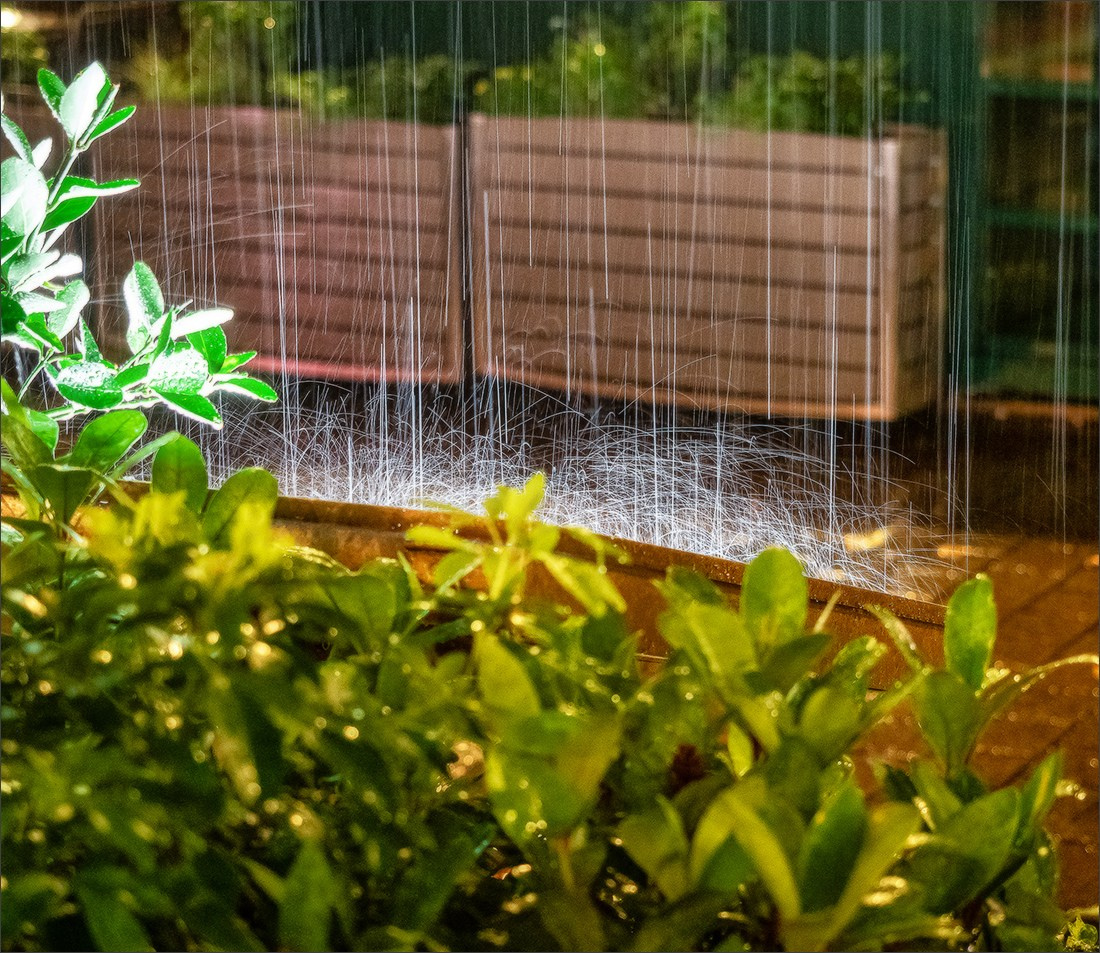 LUX. Photographe à Strasbourg | Portraits, Studio, Enfants, Événements