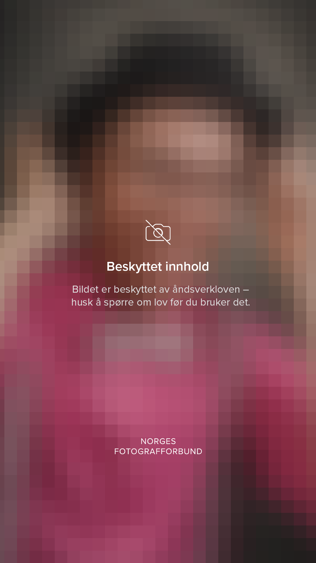 Opphavsrett til fotografier: dette må du vite. Din fotograf i Narvik kommune