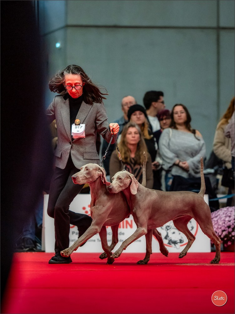 Photographie animalière. Photographe à Strasbourg | Portraits, Studio, Enfants, Événements