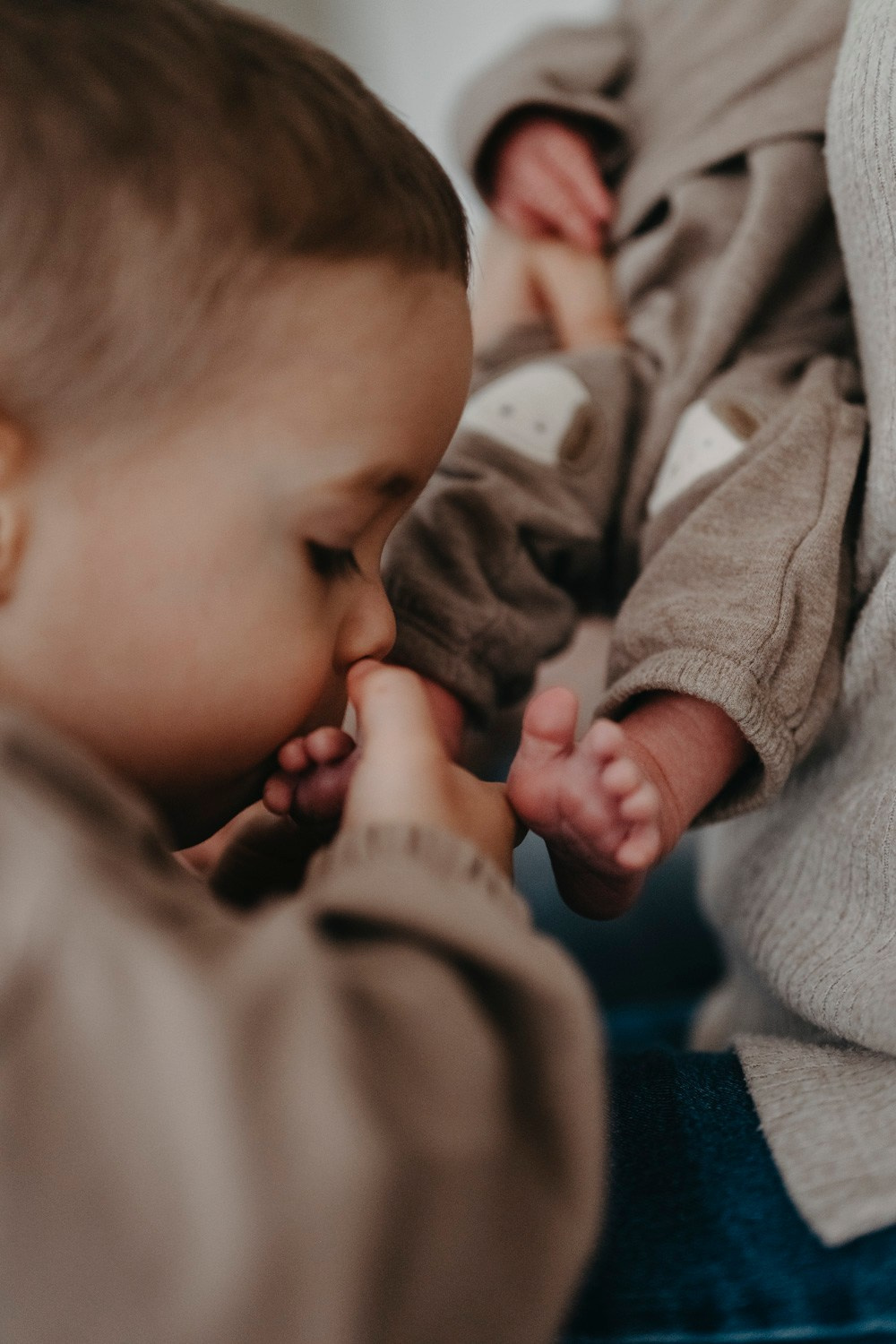 Danijala, Darko, Mijat i Marko porodicno fotografisanje. Deciji i porodicni fotograf u Beogradu Oksana Skendzic