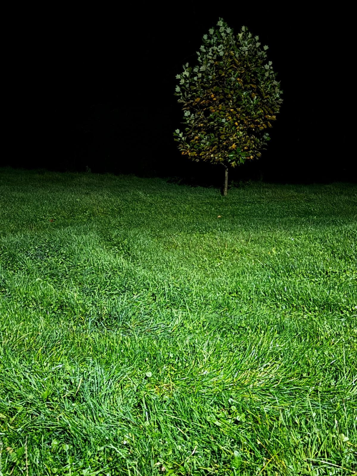Autre. Alain Abellard - Photographe